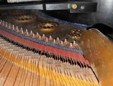 C.M.SCHRÖDER St.Petersburg