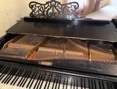 C.M.SCHRÖDER St.Petersburg