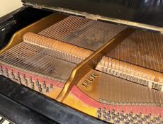 C.M.SCHRÖDER St.Petersburg