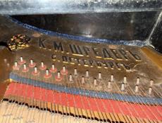 C.M.SCHRÖDER St.Petersburg