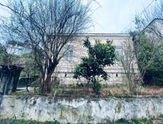 Живописный уголок в Старом Сухуме