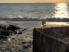 Сниму квартиру 