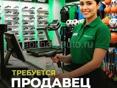Продавец Консультант 