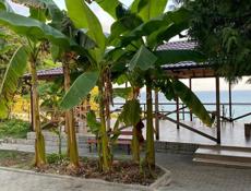 Сдам в аренду кафе на летний сезон