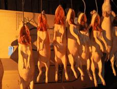 Готовые поросята 