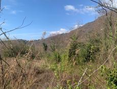 Сехарули объездная 