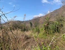 Сехарули объездная 