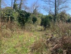 Сехарули объездная 