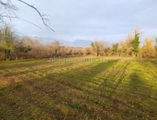 📌 УЧАСТОК ГУДАУТА 