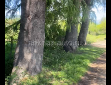 Земля 10сотых 