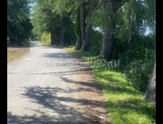 Земля 10сотых 