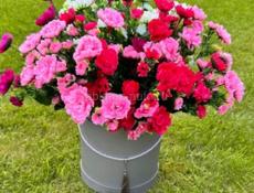 Большой осартимент искуственые цветов на Пасху.Самые актуальные цены.Находимся город Сухум рядом с БРИОШОМ.