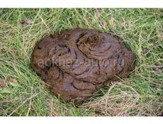 Навоз свежий 