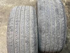 R17 225/50 R17 225/55