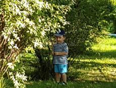 В Агудзерах продается 17 соток 