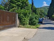 Цандрипш центр 🏠 дом под ключ 