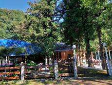 Сдаётся кафе в аренду❗️