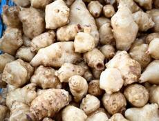 Топинамбур 