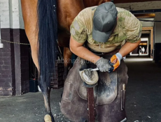 Кавка лошадей 🐎 