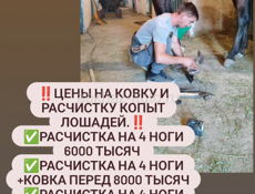 Кавка лошадей 🐎 