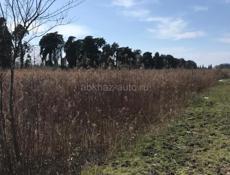 УЧАСТОК 6 СОТОК АЛАХАДЗЫ 