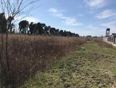 УЧАСТОК 6 СОТОК АЛАХАДЗЫ 