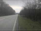 УЧАСТОК 2 ГЕКТАРА ГУДАУТА ЧЕРНАЯ РЕЧКА