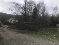 УЧАСТОК 2 ГЕКТАРА ГУДАУТА ЧЕРНАЯ РЕЧКА