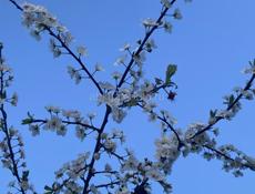 Требуется помощник 