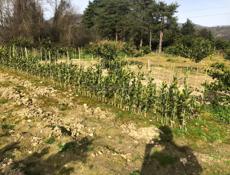 Продаётся срочно 