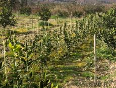 Продаётся срочно 