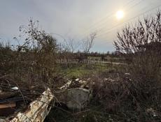 продается железо, кузова мошын тоже 