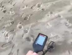 Металлоискатель