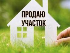 Гагра . Колхида 