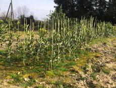 Срочно продаётся 