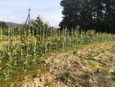 Срочно продаётся 