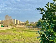 Участок 26 соток( с ветхим строением ) .