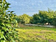 Участок 26 соток( с ветхим строением ) .