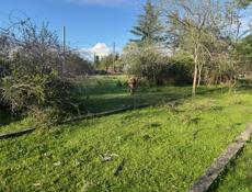 Продаю Срочно Или обмен на авто 