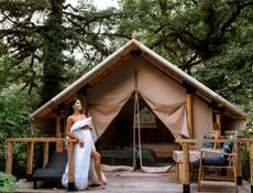 домики для глэмпинга продаж срочна