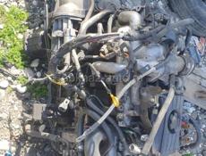 Эльгранд мотор 