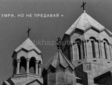 Куплю лавровый лист 