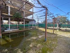 Жилой дом с участком 6 соток