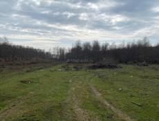 Участок золотой берег 24 сотки 