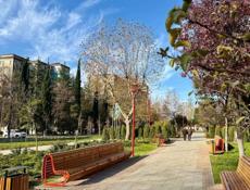 Куплю квартиру! 