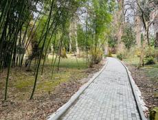 Трешка Синоп Мокко пляж