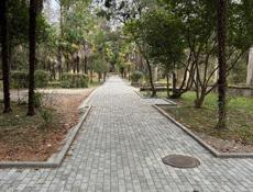 Трешка Синоп Мокко пляж