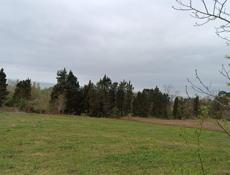 40 соток земли 