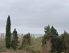 40 соток земли 