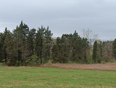 40 соток земли 